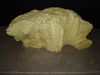 DSC03407.jpg