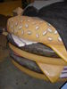 DSC03418.jpg